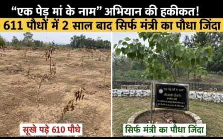 “एक पेड़ मां के नाम” बना मजाक! 611 पौधे लगाए, 2 साल बाद सिर्फ मंत्री जी का पौधा जिंदा मिला एक पेड़ मां के नाम” बना मजाक! 611 पौधे लगाए, 2 साल बाद सिर्फ मंत्री का पौधा जिंदा मिला